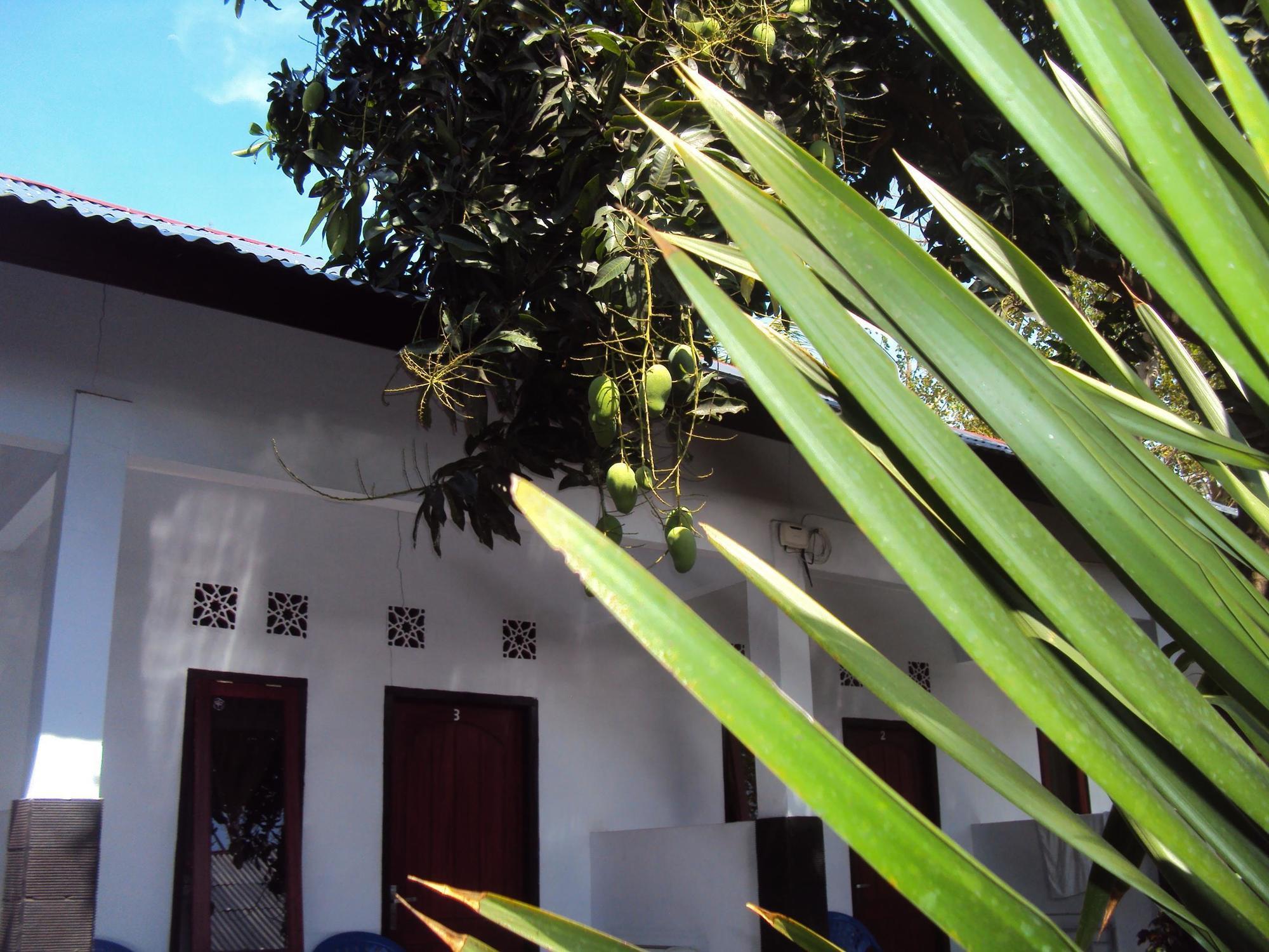 Banana Leaf Bungalow Hotel Gili Trawangan Buitenkant foto